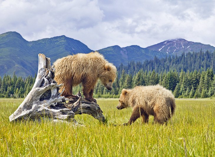 Alaska, Usa