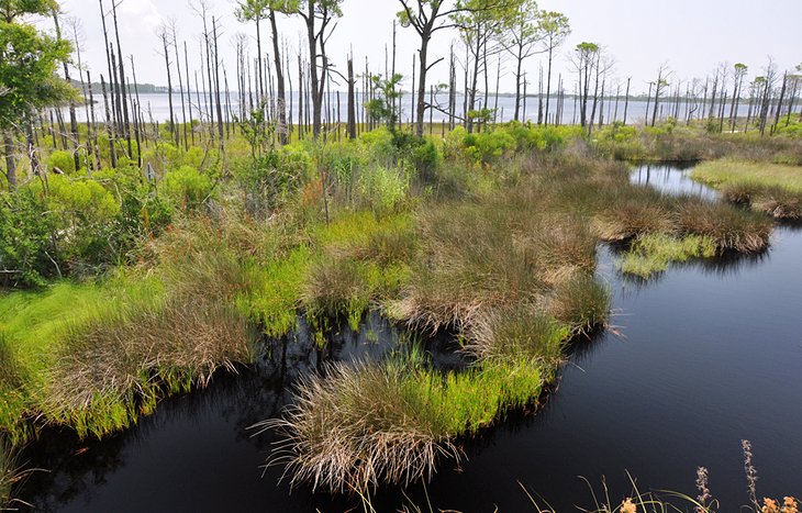 Bon Secour National Wildlife Refuge