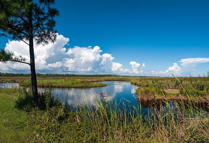 Gulf State Park