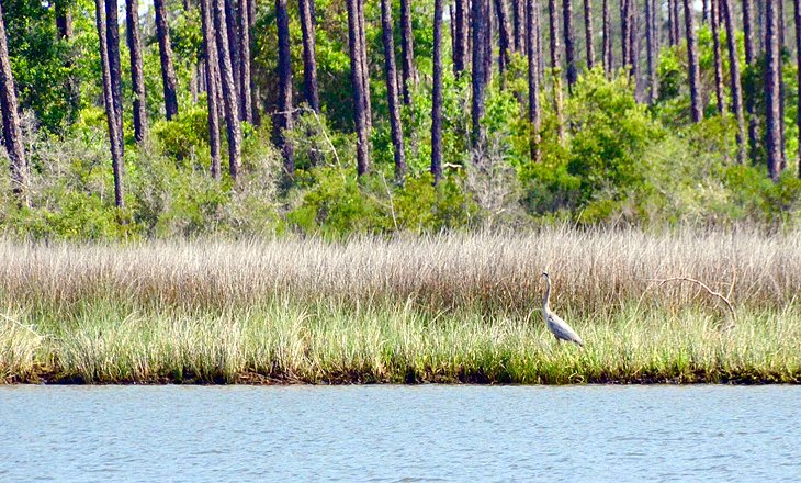 Sailaway Charters Eco-Tours