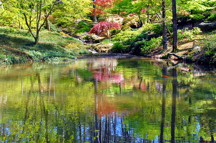 Garvan Woodland Gardens