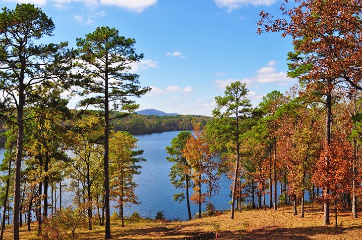 Lake Hamilton