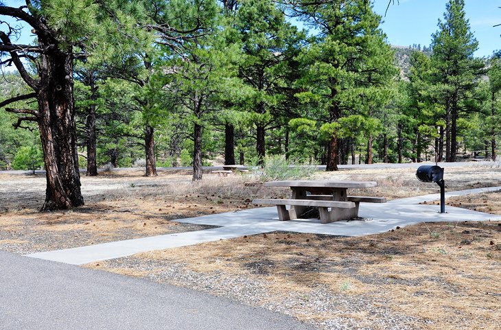 Flagstaff, Bonito Campground