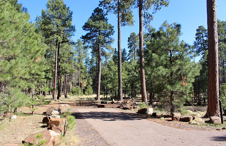 11 campamentos mejor calificados cerca de Payson, Arizona