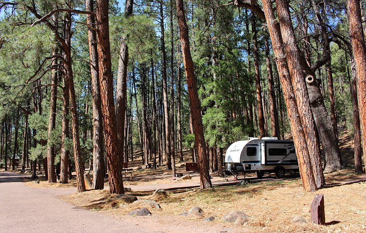 11 campamentos mejor calificados cerca de Payson, Arizona