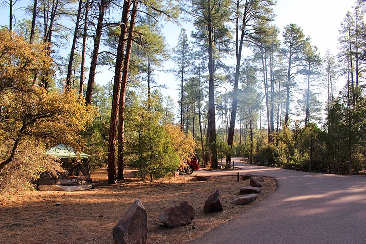 11 campamentos mejor calificados cerca de Payson, Arizona