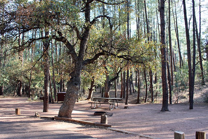 11 campamentos mejor calificados cerca de Payson, Arizona