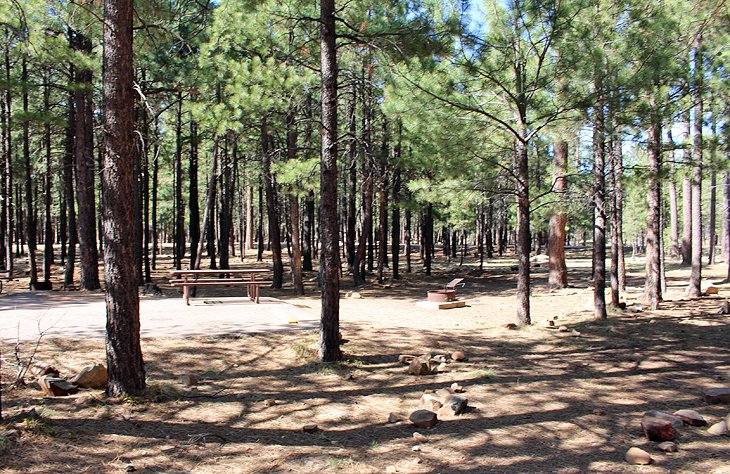11 campamentos mejor calificados cerca de Payson, Arizona