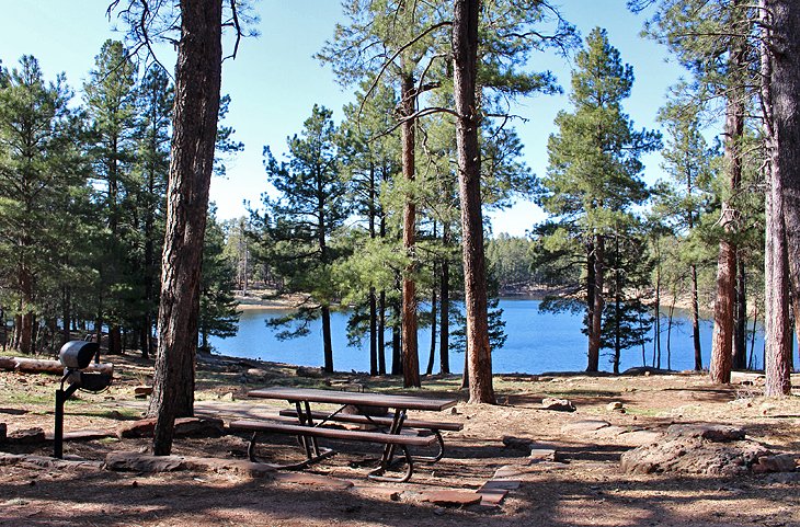 11 campamentos mejor calificados cerca de Payson, Arizona