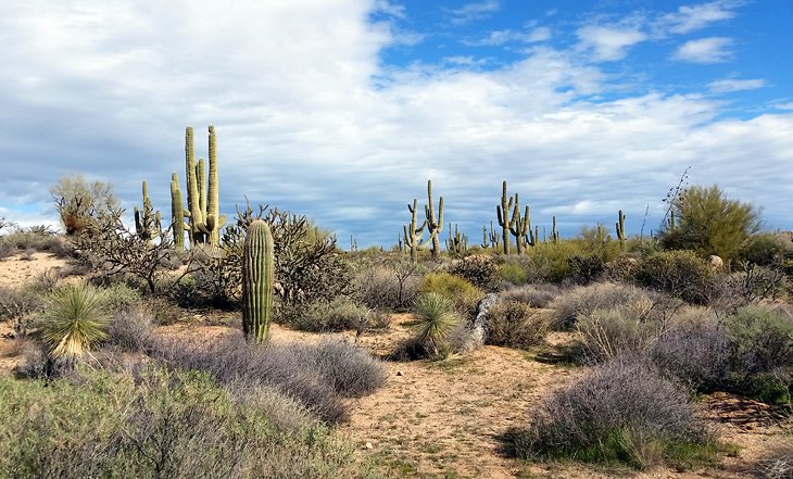 Brown's Ranch Trail System