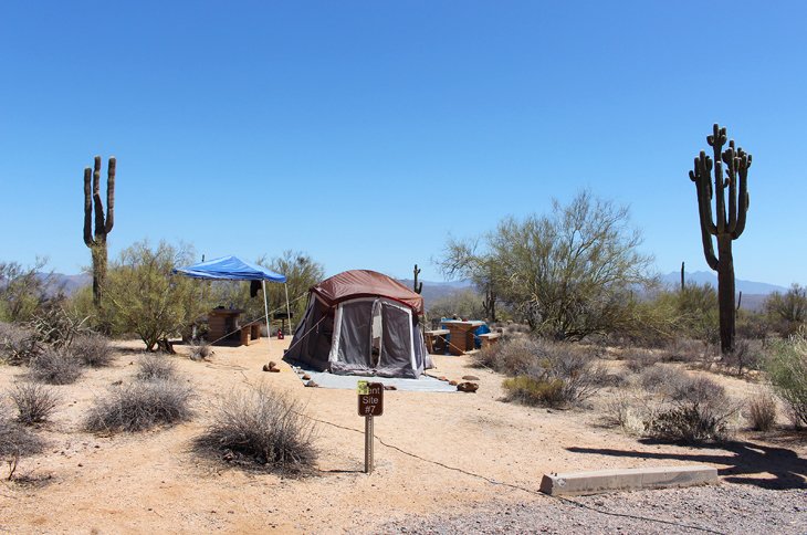 McDowell Mountain Regional Park Campground