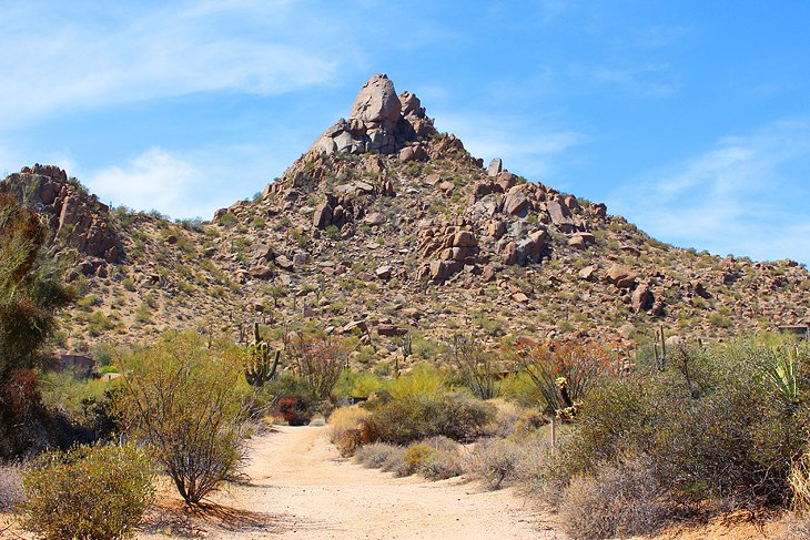 10 rutas de senderismo mejor valoradas en Phoenix, AZ