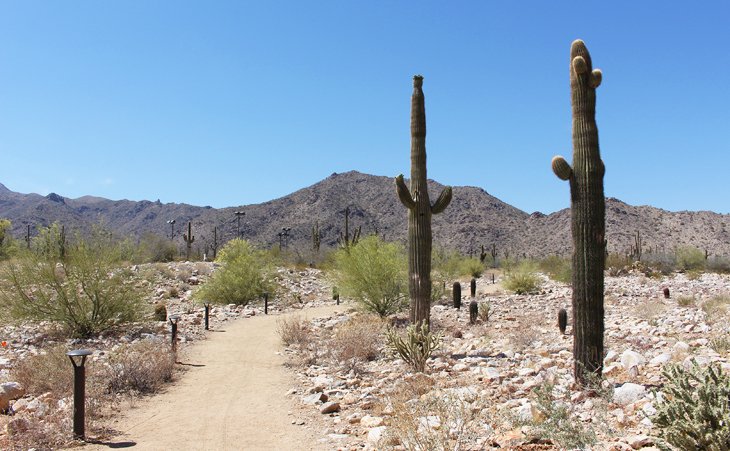 Trail near Visitor Center