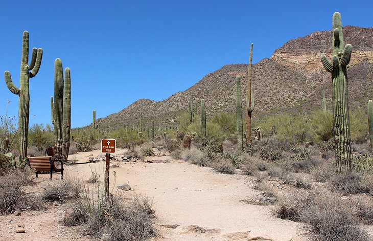 Wind Cave Trail