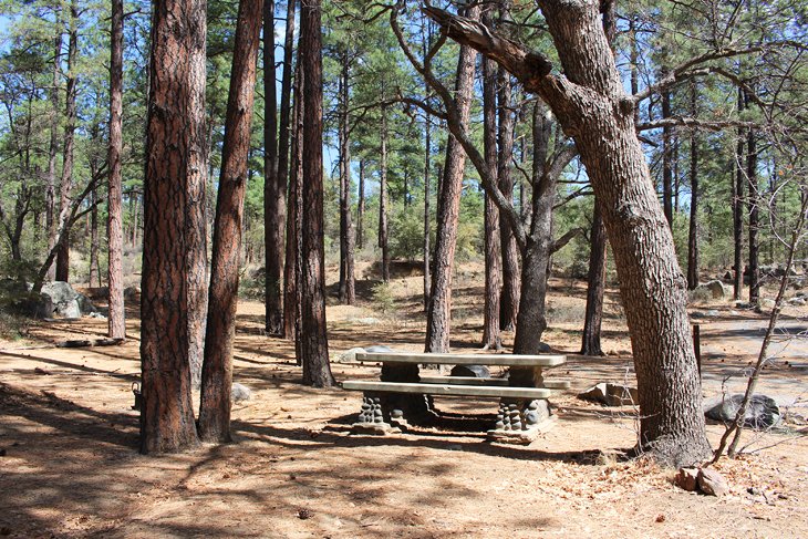 9 campamentos mejor calificados cerca de Prescott, AZ