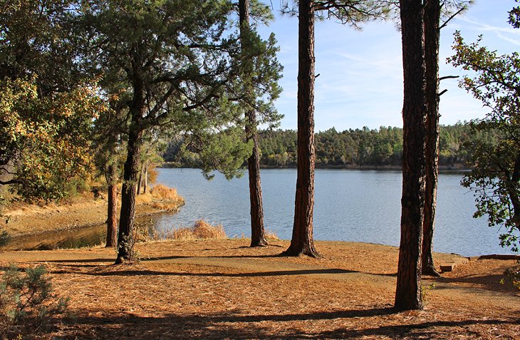 Lynx Lake Recreation Area