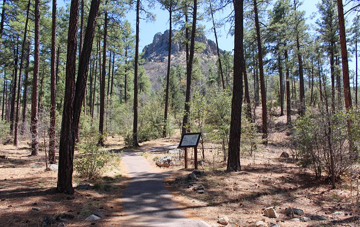 Thumb Butte Hiking Trail