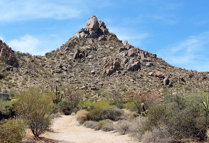 Pinnacle Peak Park