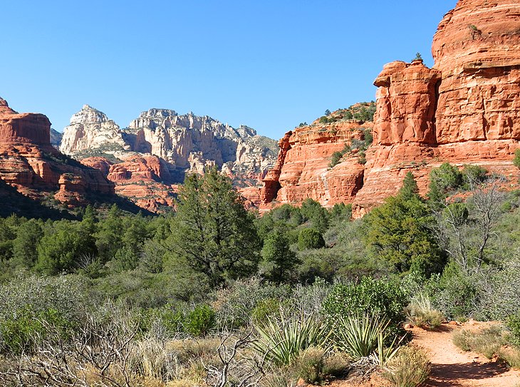 Boynton Canyon Hiking Trail