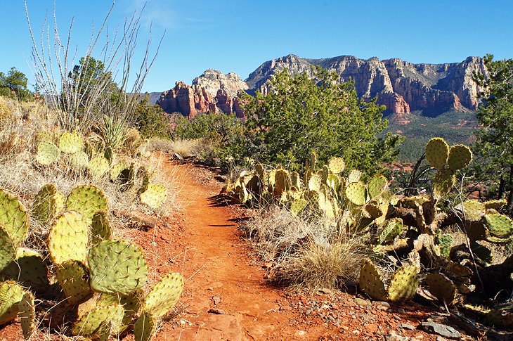 Hiking trail on Airport Mesa