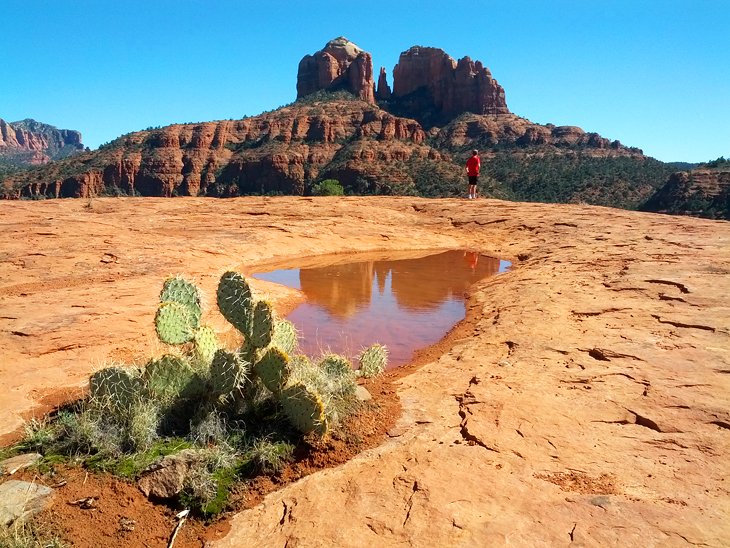 View of Cathedral Rock in Sedona