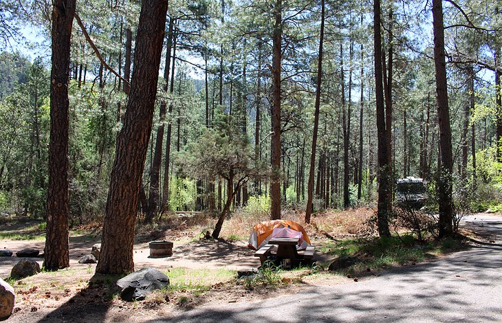 Cave Springs Campground