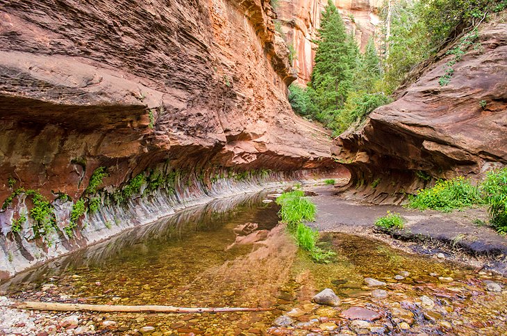 12 rutas de senderismo mejor valoradas en Sedona, AZ