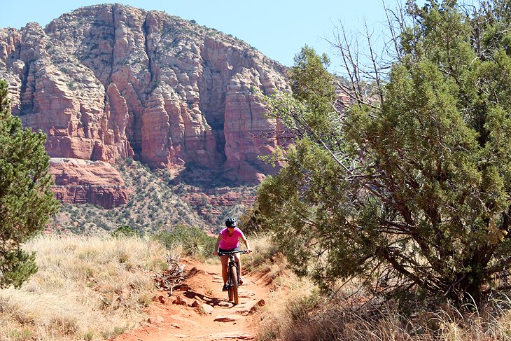 Author Lana Law on Llama Trail