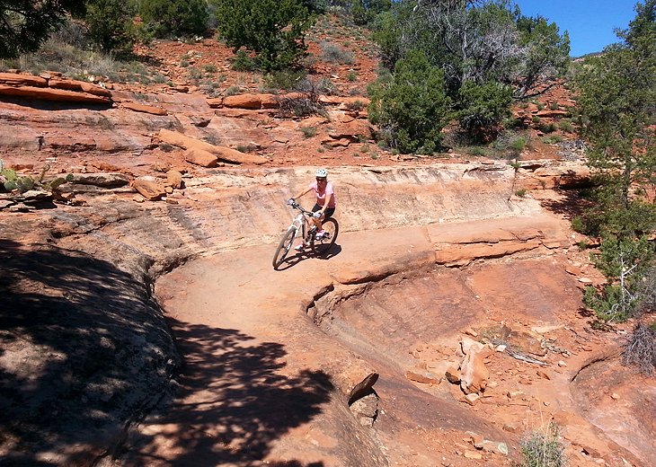 Top Mountain Bike Trails in Arizona for Beginners 