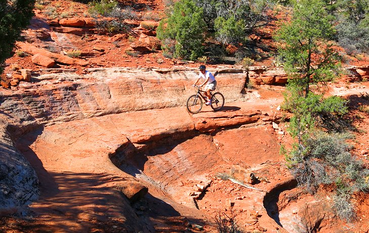 Mountain Biking Trails