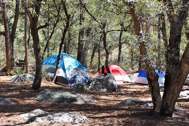 9 campamentos mejor calificados cerca de Tucson