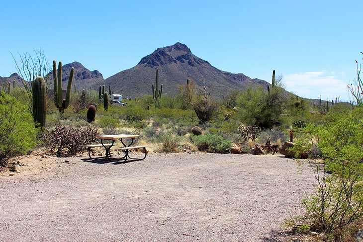 Gilbert Ray Campground, Tucson Mountain Park