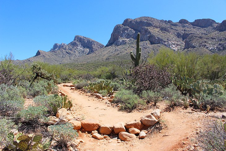 Linda Vista Trail |  Photo Copyright: Lana Law