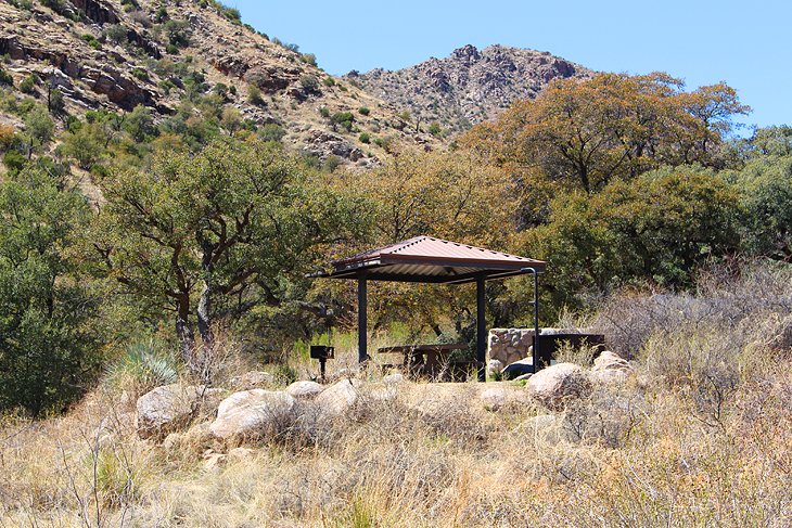 9 campamentos mejor calificados cerca de Tucson