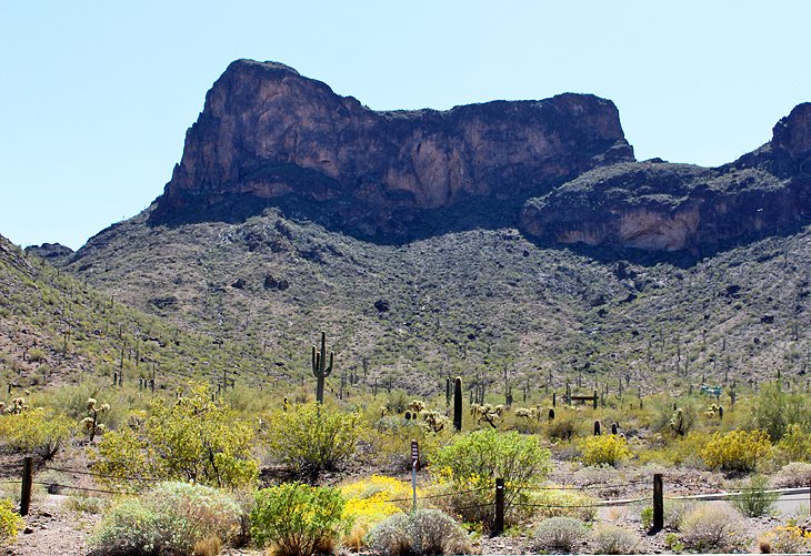 Picacho Peak State Park Campground