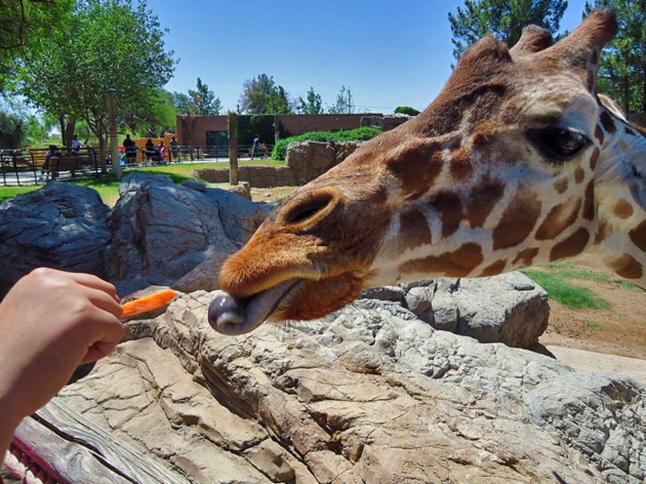 Zoo du parc Reid