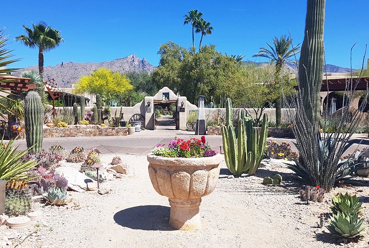 10 resorts mejor calificados en Tucson, AZ