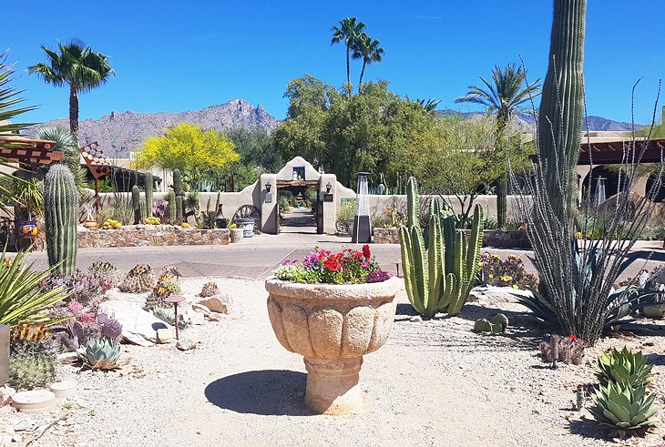 Hacienda Del Sol Guest Ranch Resort