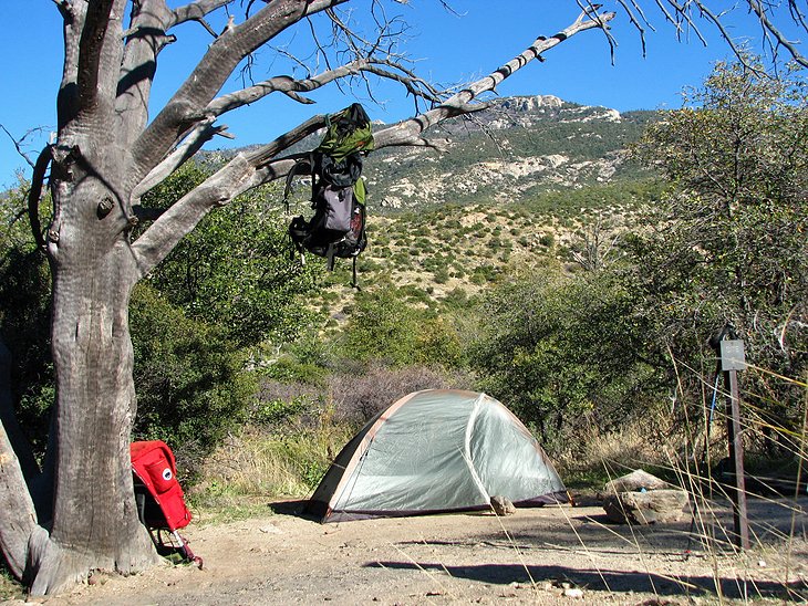 9 campamentos mejor calificados cerca de Tucson