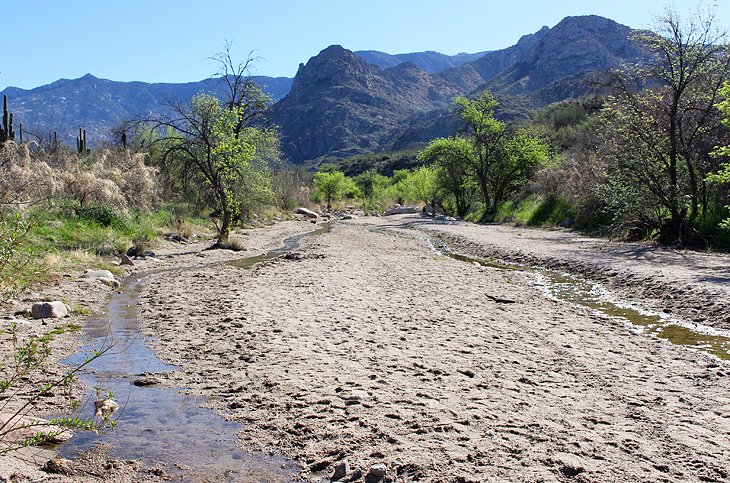 Sutherland Trail |  Photo Copyright: Lana Law