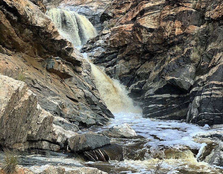 Tanque Verde Falls Trail