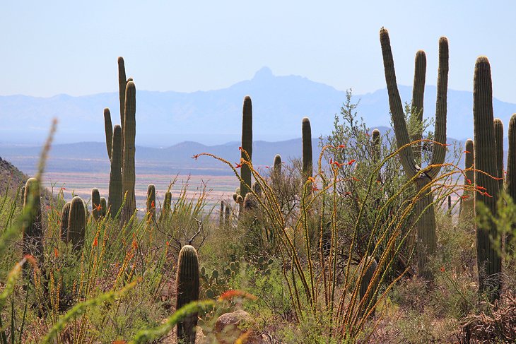 Valley View Overlook Trail |  Photo Copyright: Lana Law