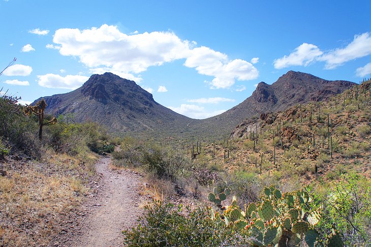 Yetman Trail |  Denny Armstrong / photo modified