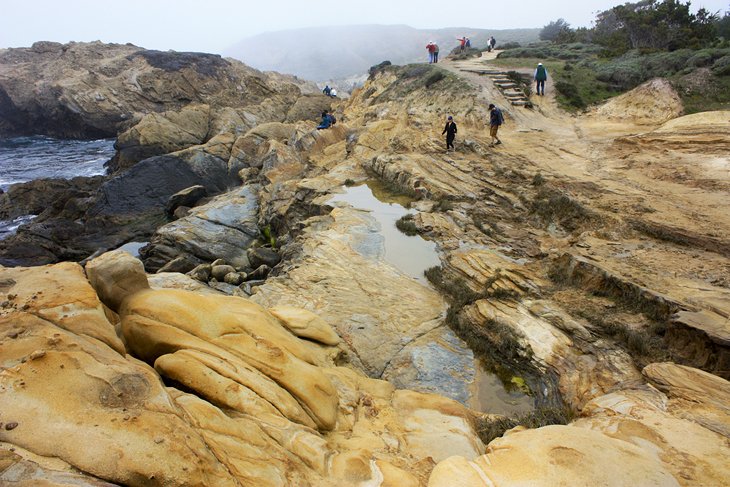 Sea Lion Point Trail in Point Lobos