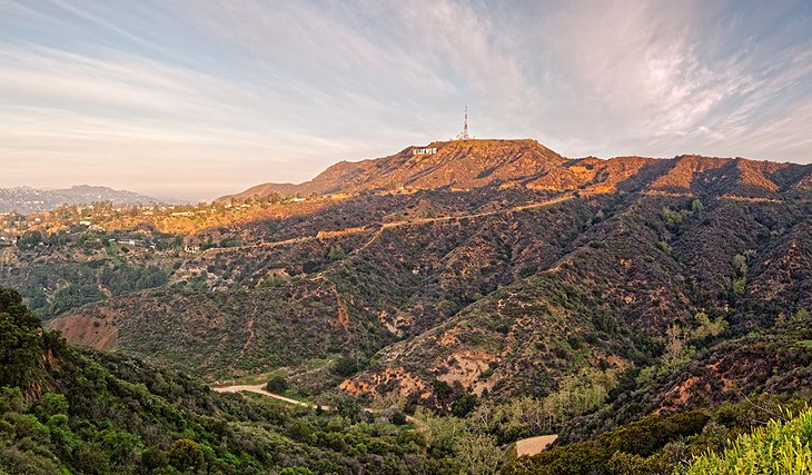 Hollywood Hills