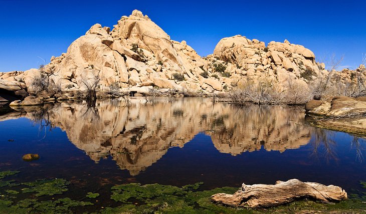 Barker Dam Nature Trail