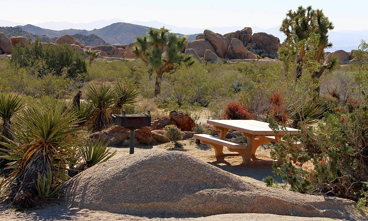 Day Use Area near Skull Rock