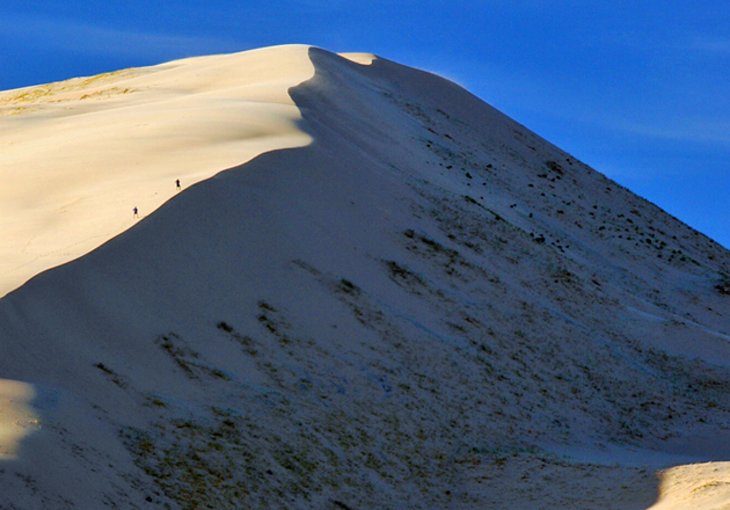 Kelso Dunes