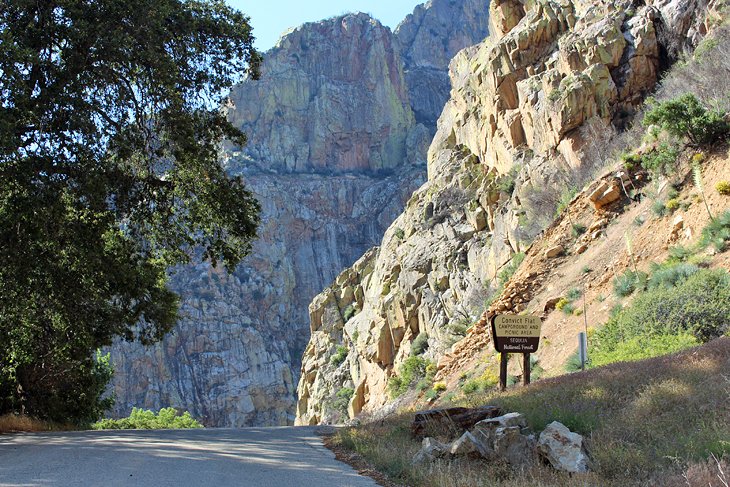 9 mejores campamentos en el Parque Nacional Kings Canyon, CA