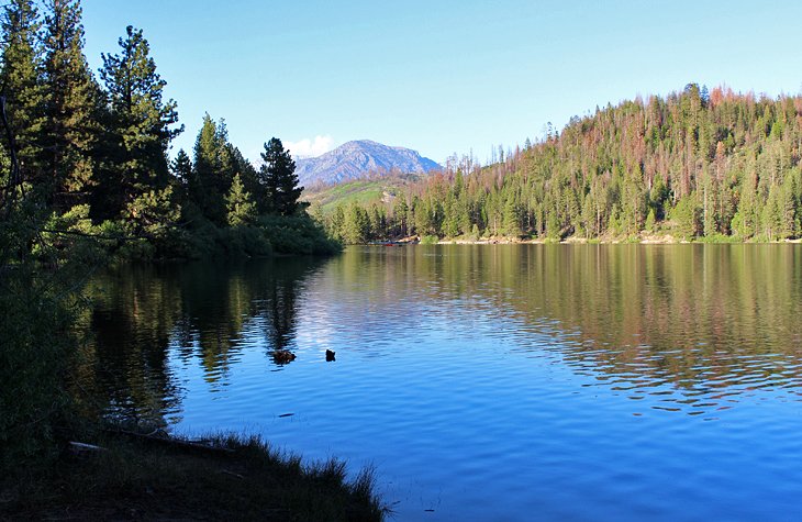 Hume Lake Campground